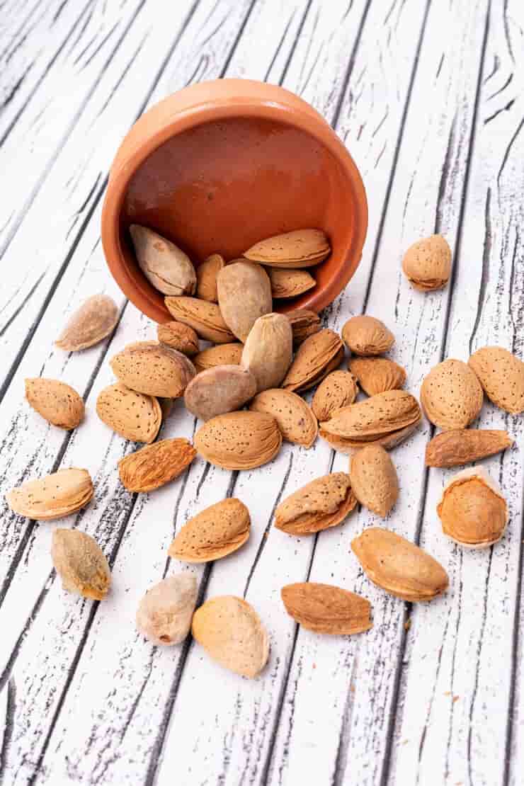 تصویر 1 از قیمت خرید بادام درختی با پوست با فروش عمده